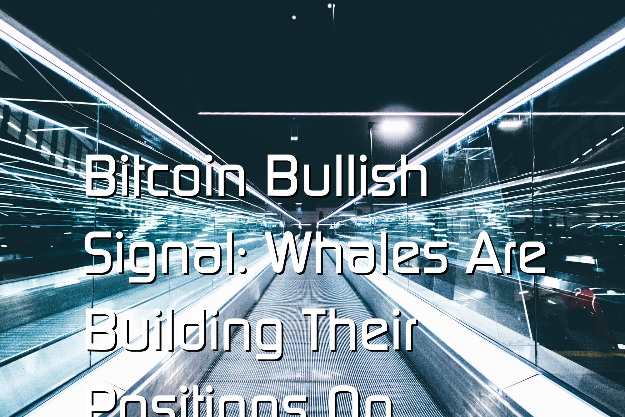 @$60363.73 Bitcoin Bullish Signal: Whales Are Building Their Positions On Derivatives