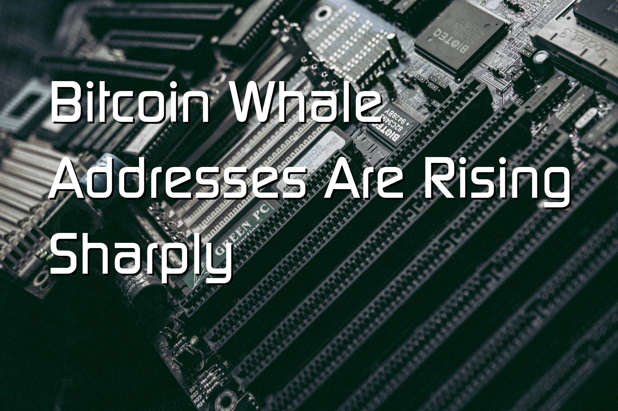 Bitcoin Whale Addresses Are Rising Sharply